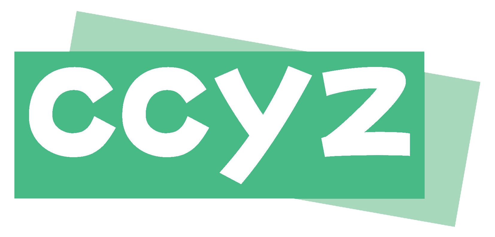 🛩ccyz机场深度评测:IEPL 专线机场,15元150G超高性价比 相关截图