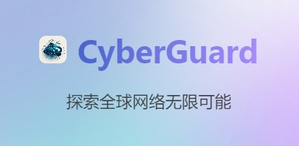 🛩cyberguard机场深度评测:2025年高性价比质量高、稳定运营两年 相关截图